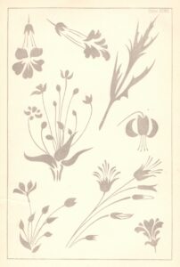 Design plate taken from the Elementary Art Teaching by E.R. Taylor, 1890.